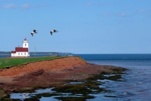 Prince Edward Island Provincial Nominee Program